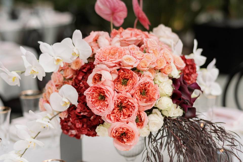 Nebella Florals