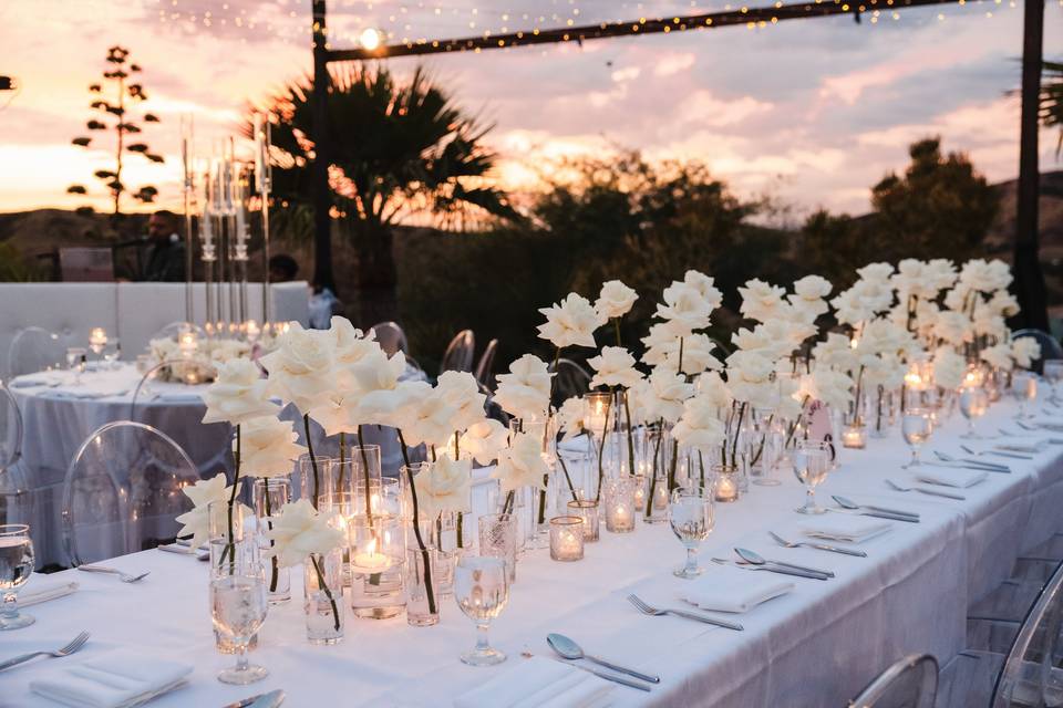 Hummingbird Nest Ranch Wedding