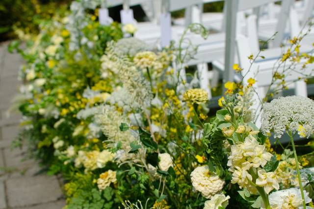 Aisle meadows