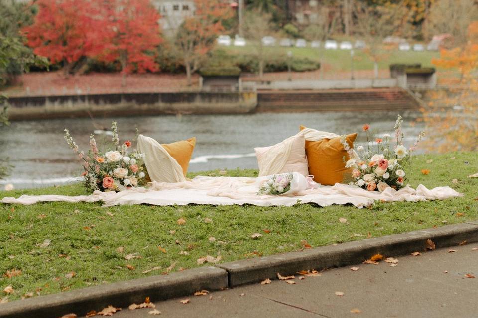 Proposal set up