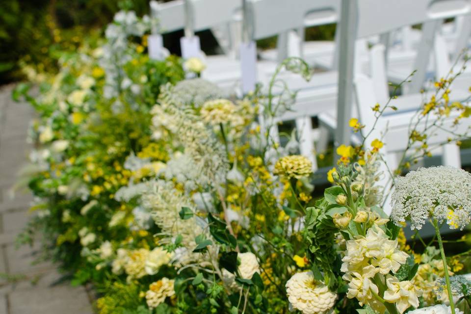 Aisle meadows