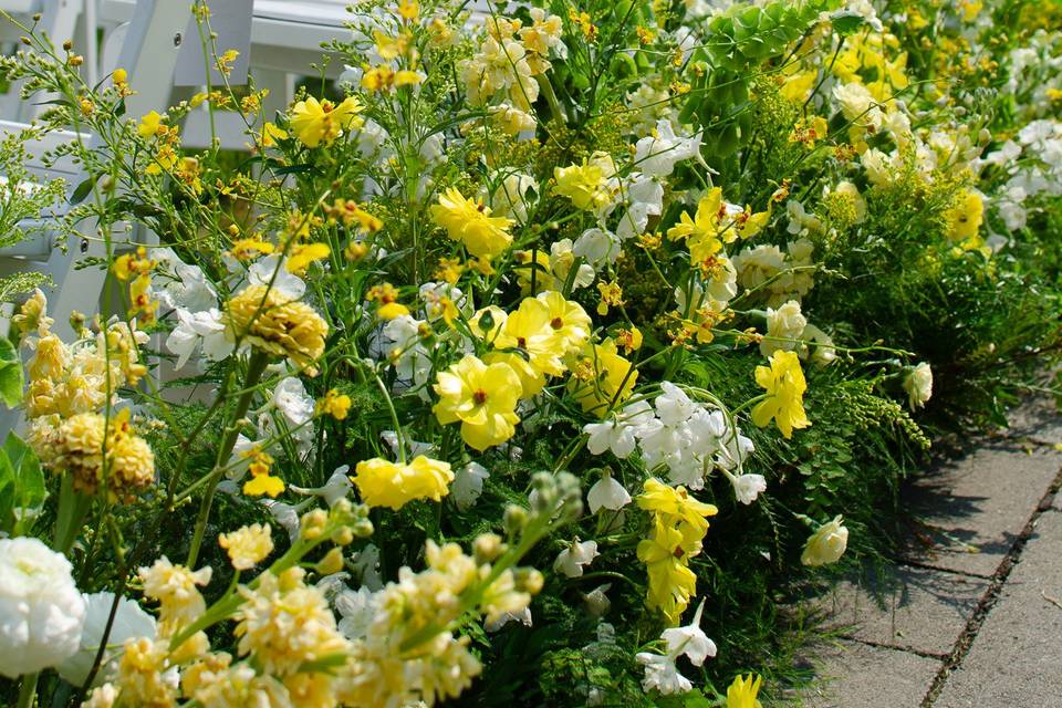 Aisle meadows