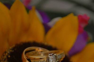 DaniCole Photography