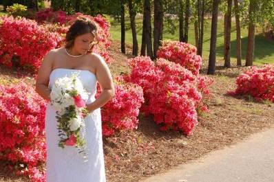 DaniCole Photography