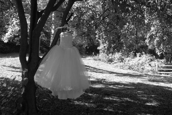 DaniCole Photography
