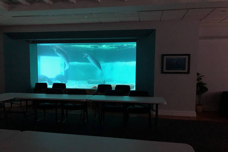 Boardroom Underwater Viewing