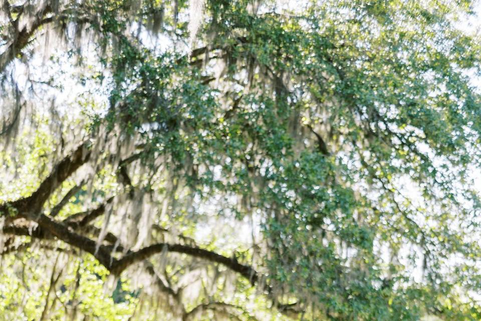 Charleston Wedding Editorial