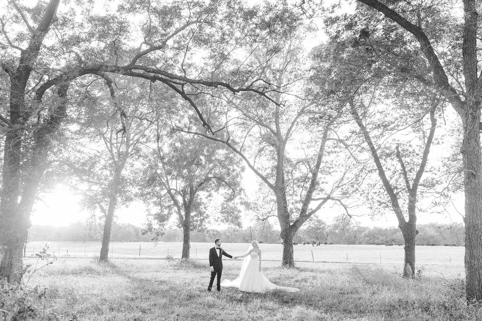 Bride and groom in oak trees