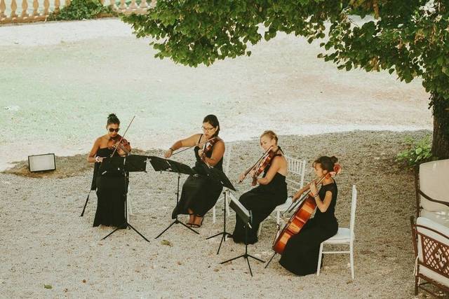 Lady's Orchestra String Quartet