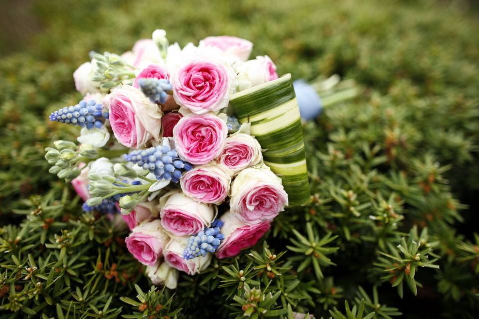 Park Floral Wedding & Events Designs