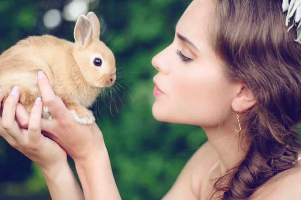 Bride holding a rabbit