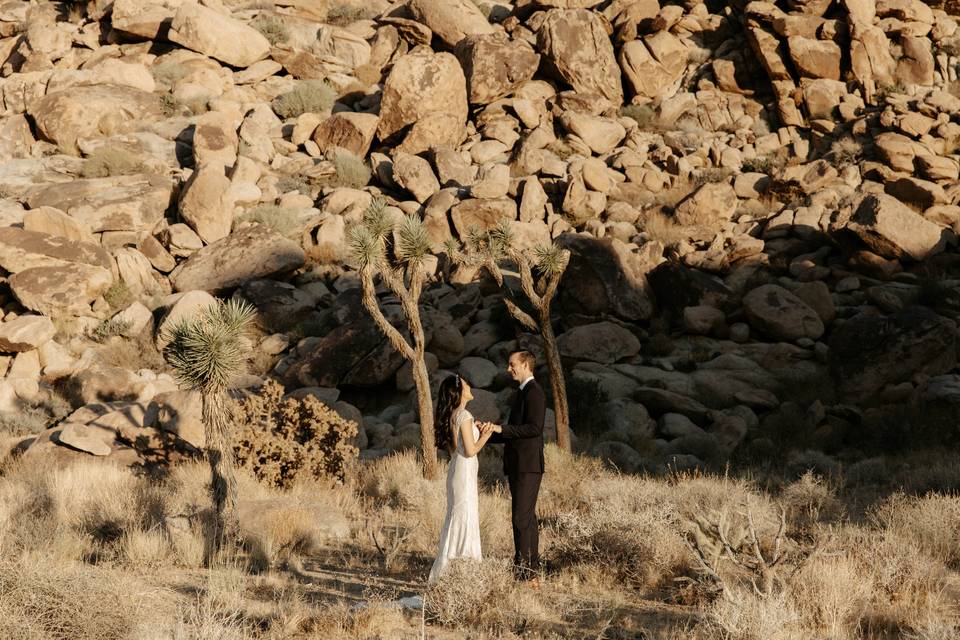 Joshua Tree Elopement