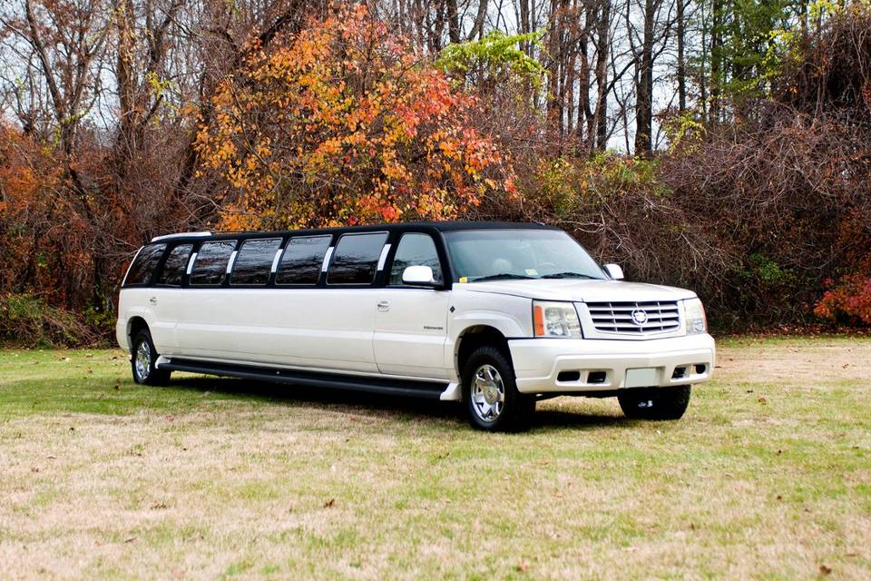 Limousines