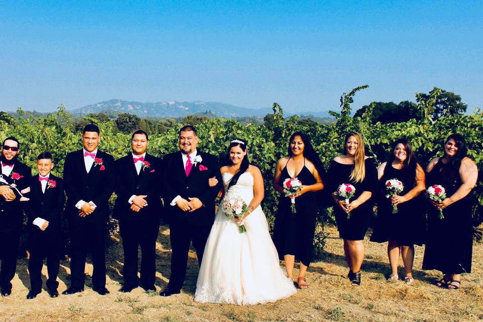 Wedding Party Vineyard Picture