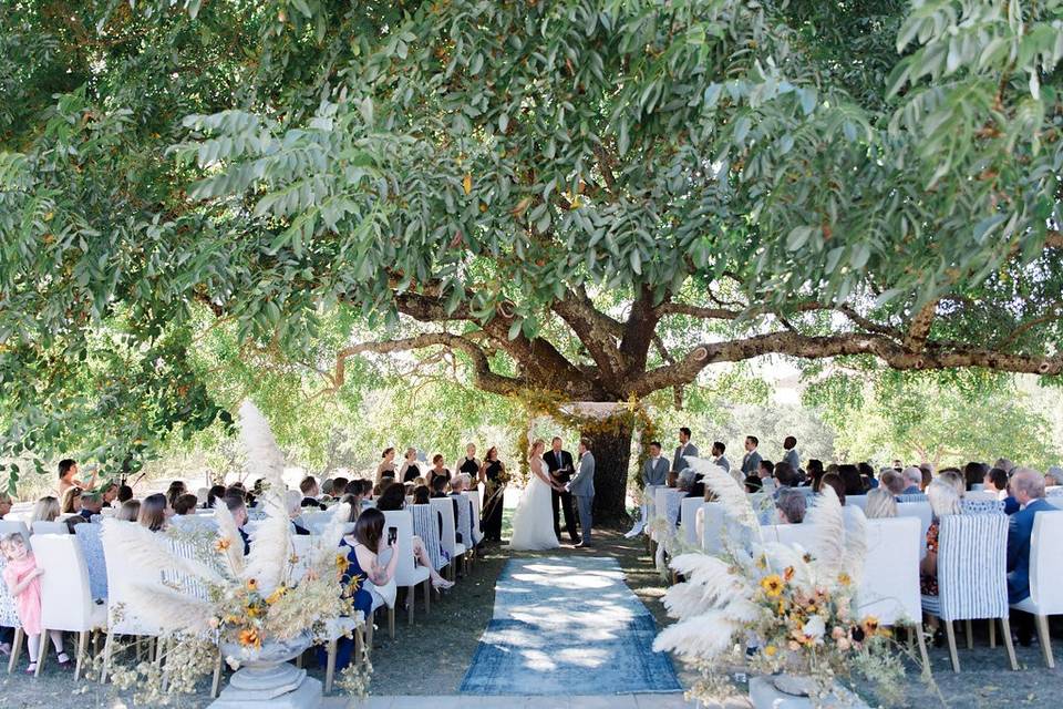 Ceremony tree