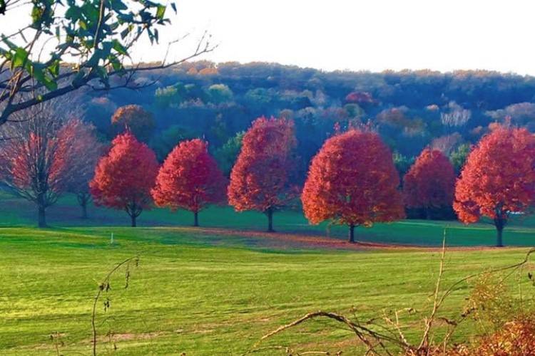 Fall at Grassy Hill