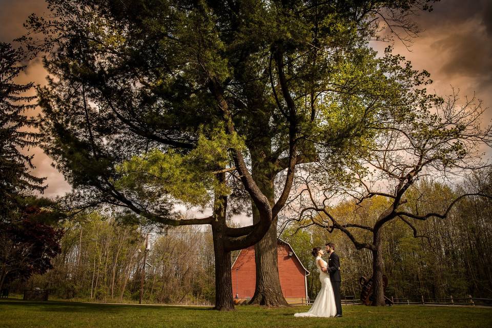 Couple under a tree