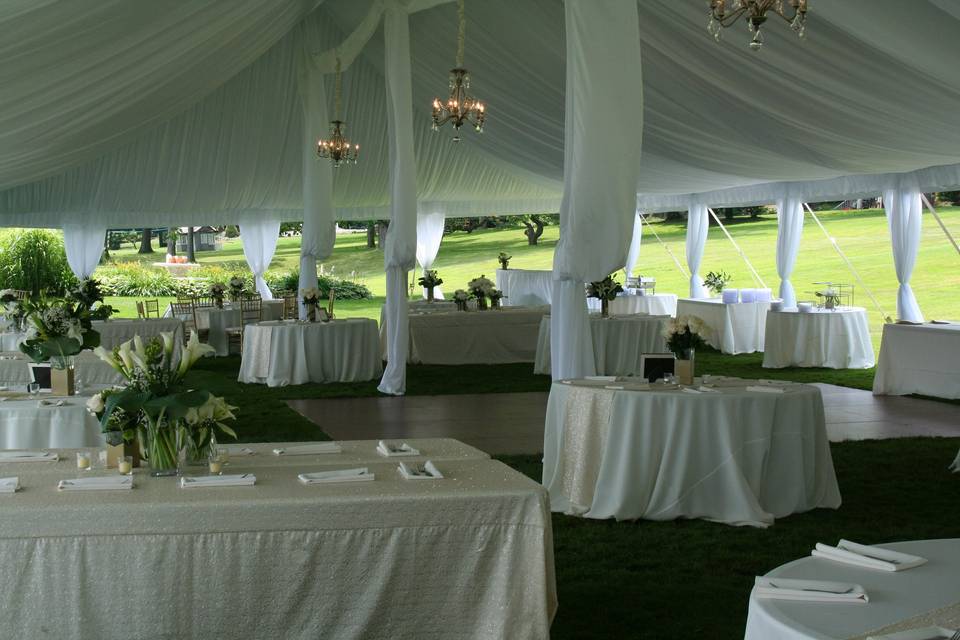 White sheer ceiling liner