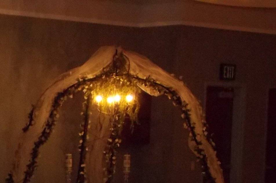 Lighted Iron backdrop with Tulle, garland and lights, Crystal candle Holders, Cake/Knife set, 8x10 Frame