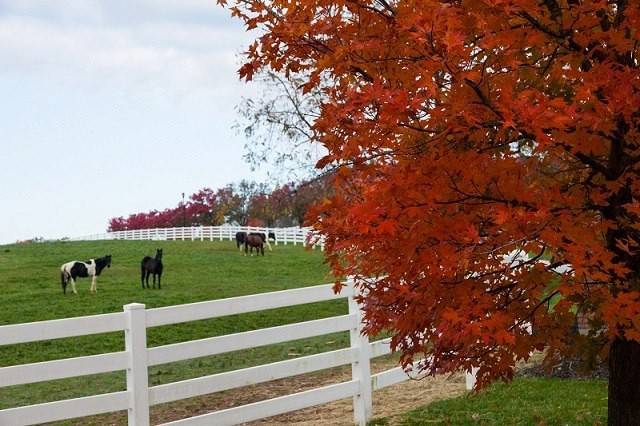 Triple Crown Country Club