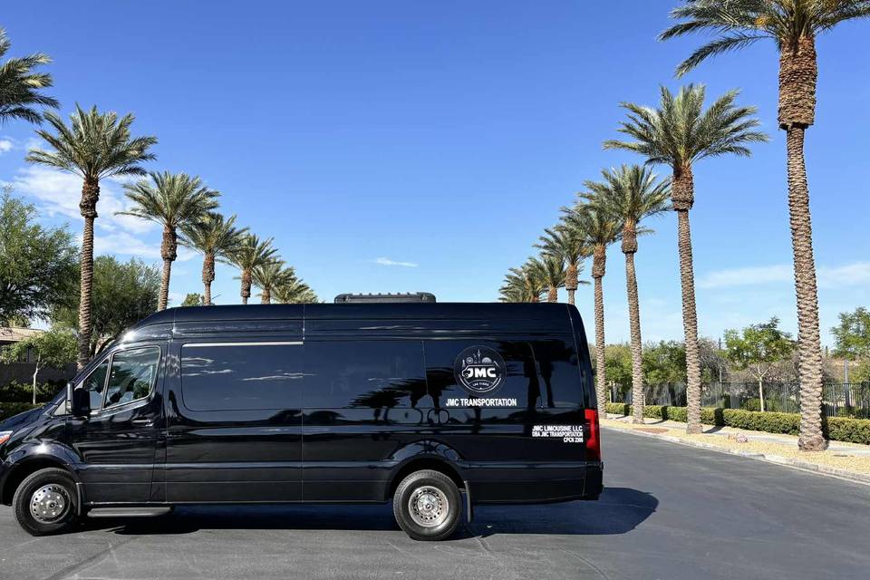 Sprinter Limousine Style