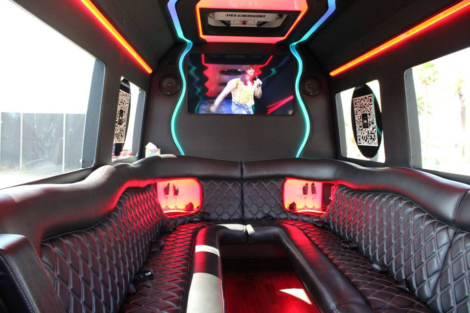 Sprinter Limousine Style