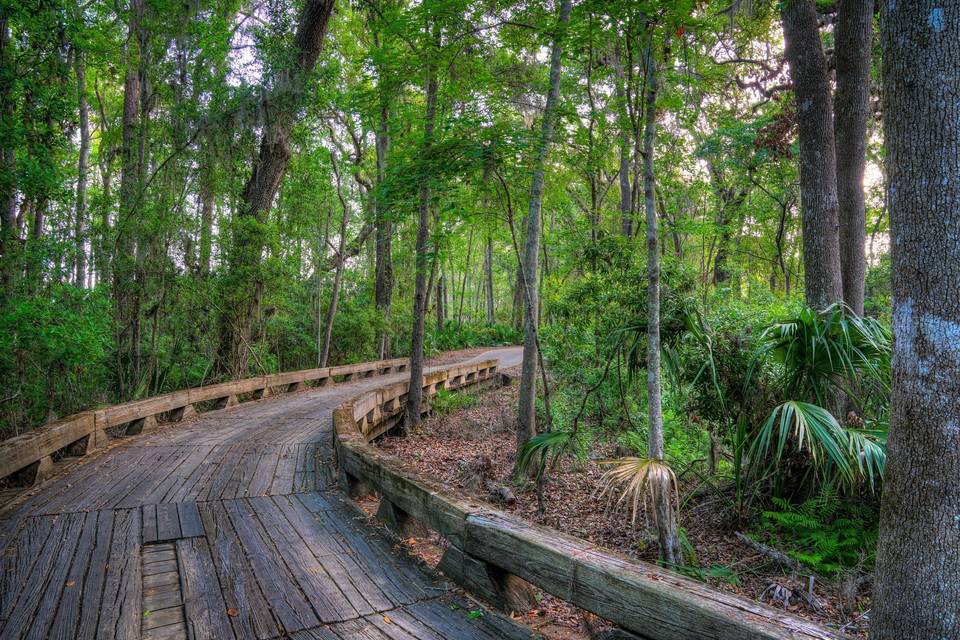 Osprey Cove Golf Club