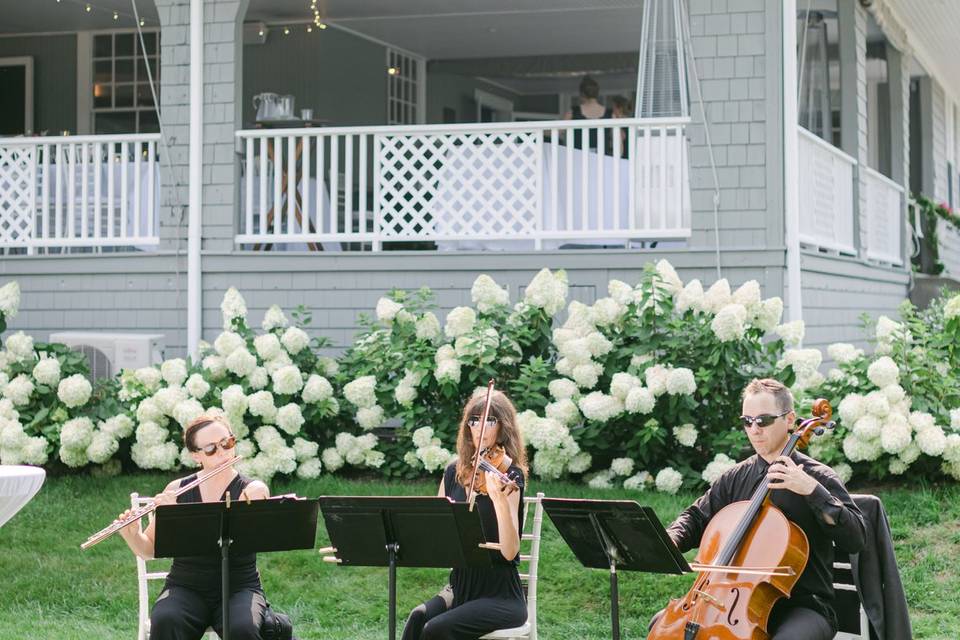 Stretta Ensembles