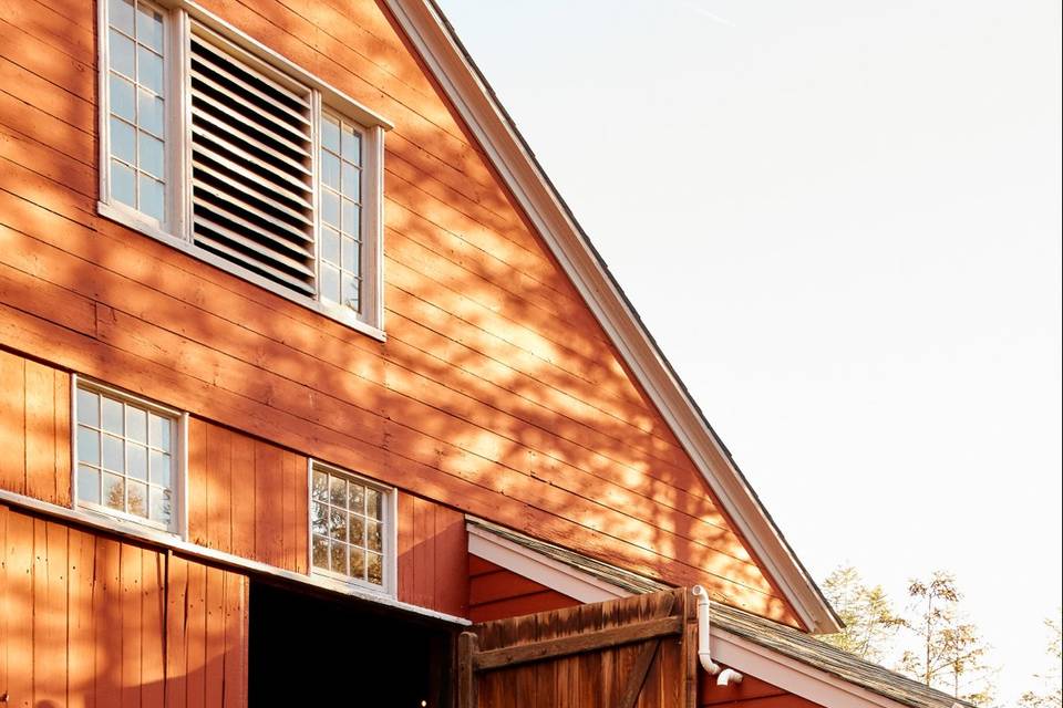 Barn backyard.