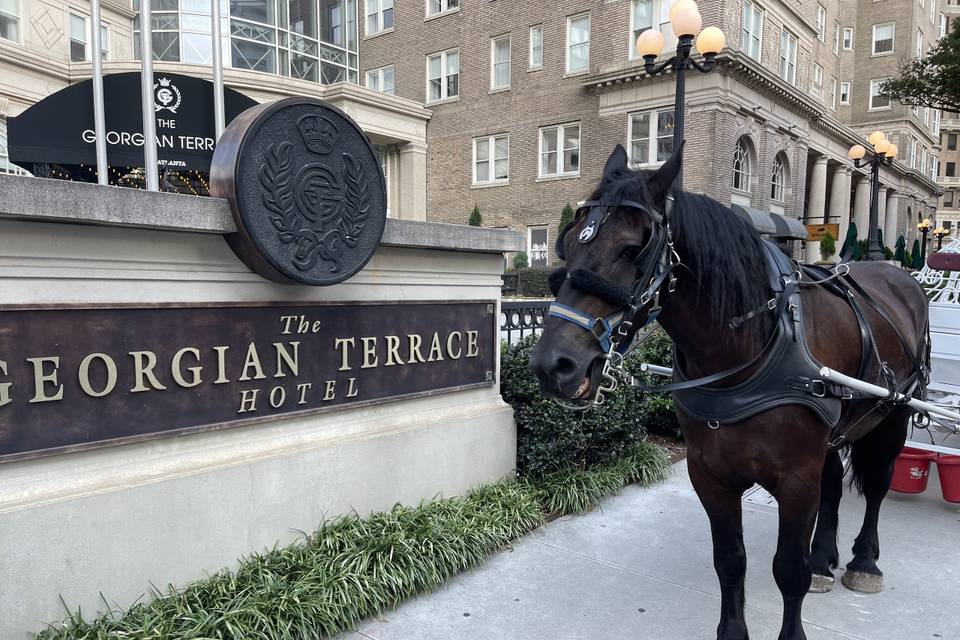 Horse and carriage marriage