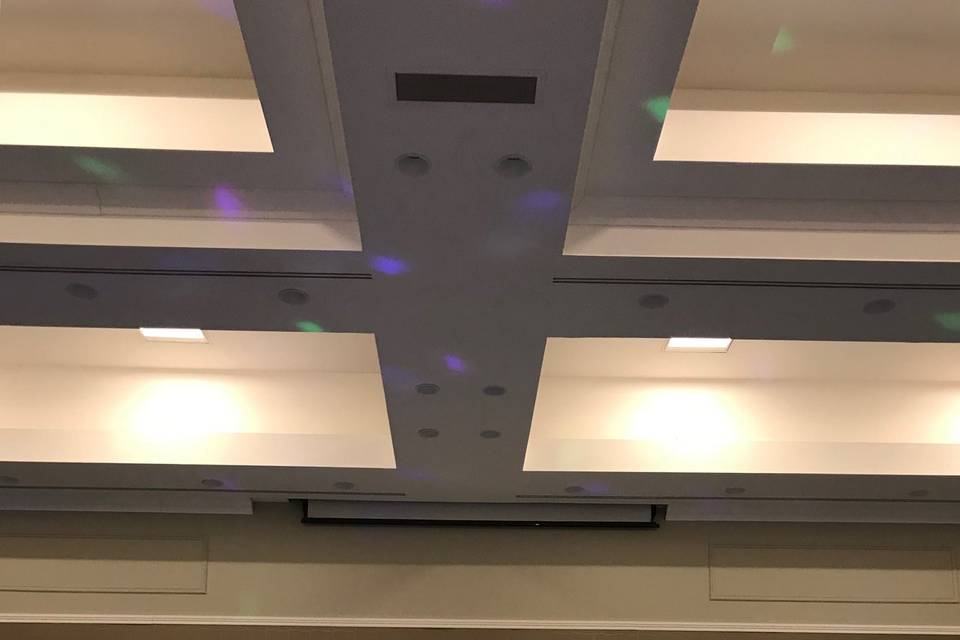 Teal & Coral / LED Dancefloor
