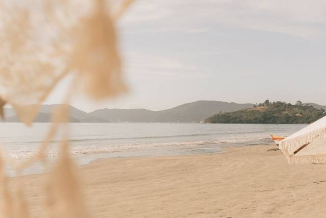 pexels-rebornfilmes-38531655.jpg