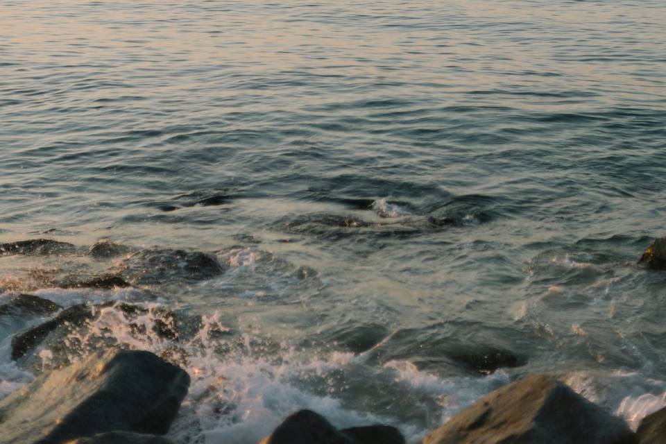 pexels-alinaskazka-33063958.jpg