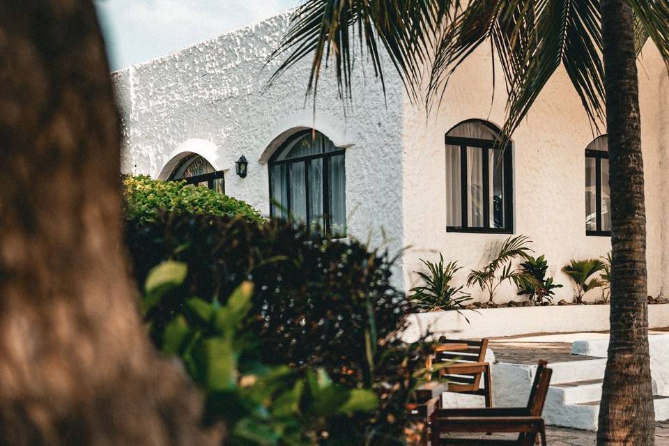 pexels-instaszek-20143799.jpg