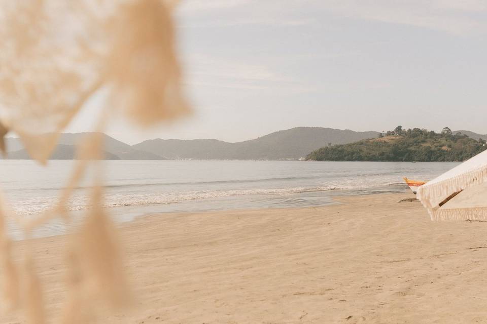 pexels-rebornfilmes-38531655.jpg