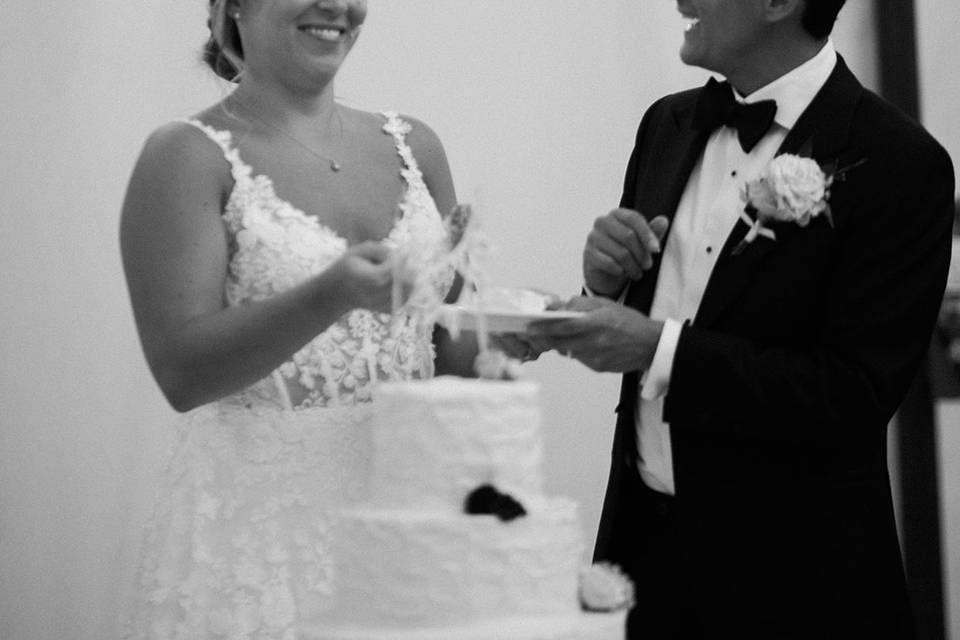 Cake Cutting
