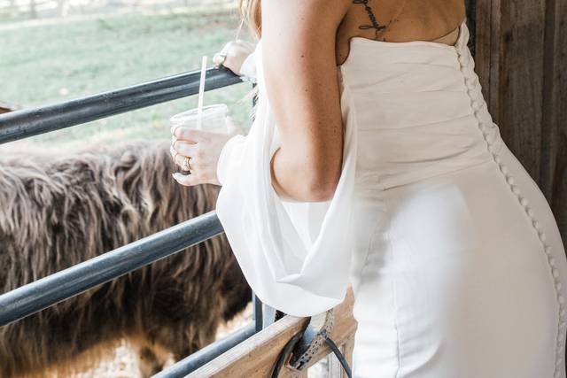 Bride and cow