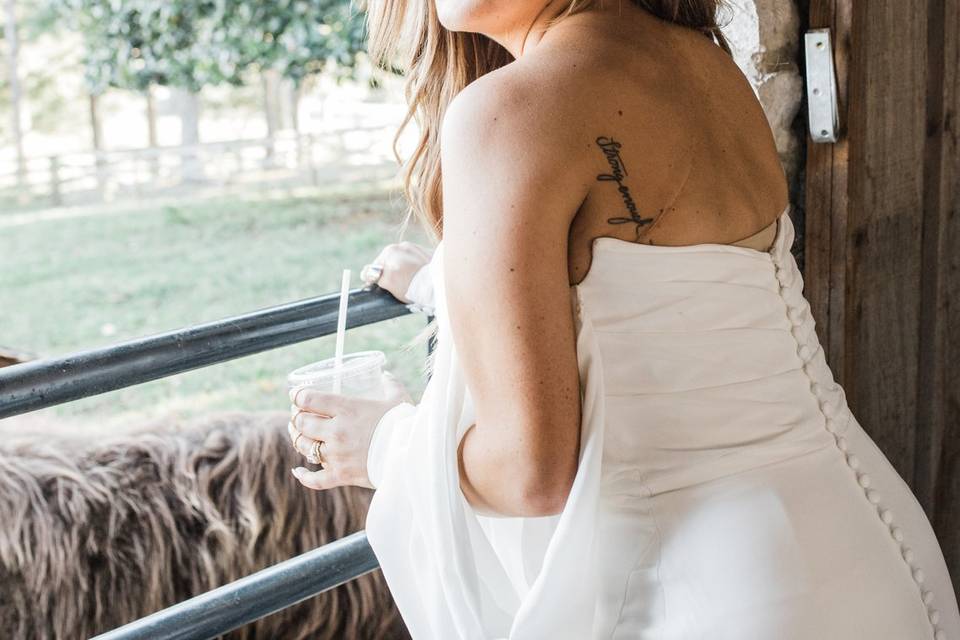 Bride and cow