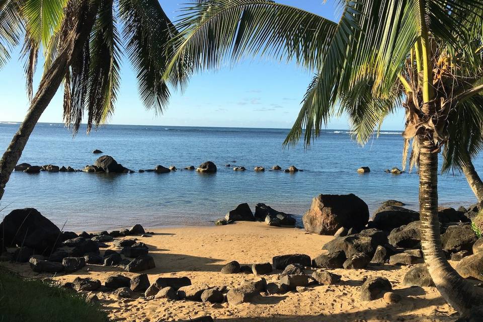 Julie D. Wirtz, Kauai Officiant/Celebrant