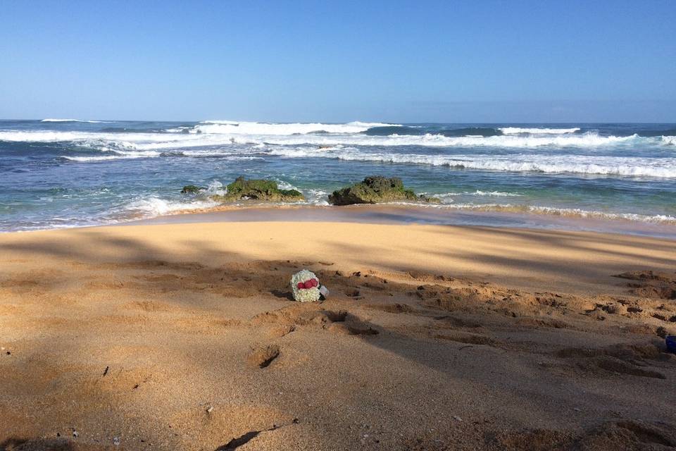 Julie D. Wirtz, Kauai Officiant/Celebrant