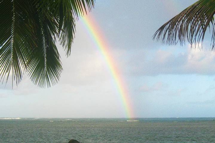 Julie D. Wirtz, Kauai Officiant/Celebrant