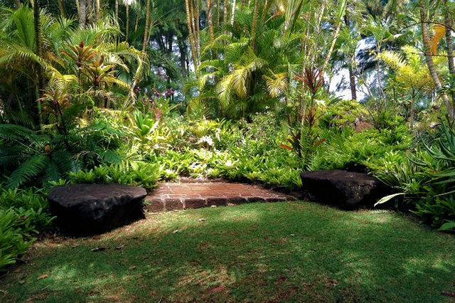 Julie D. Wirtz, Kauai Officiant/Celebrant