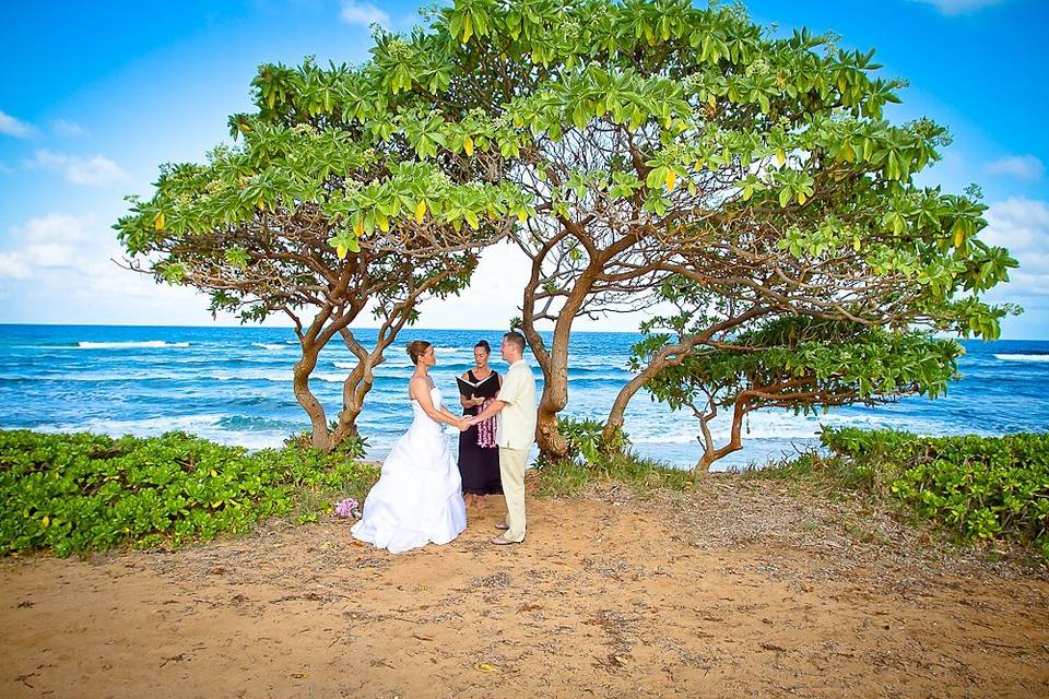 Julie D. Wirtz, Kauai Officiant/Celebrant