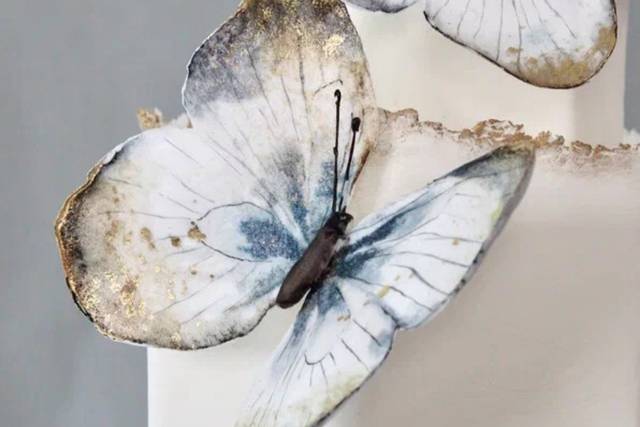 Edible butterflies cake decor