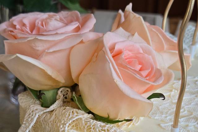 Edible laces decor
