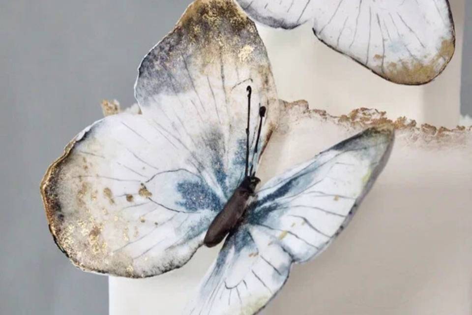 Edible butterflies cake decor