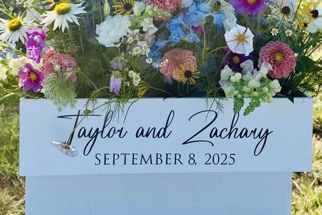 Taylor Ryan Events