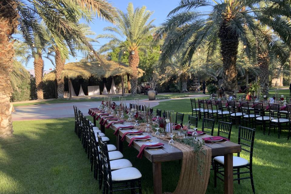 50 Person Wedding