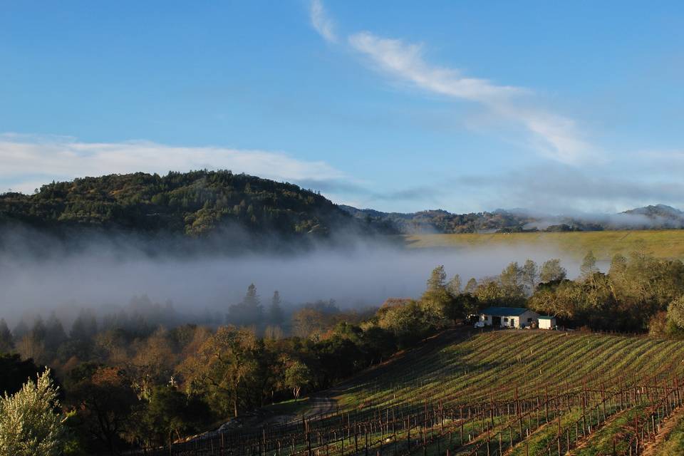 Sbragia Family Vineyards