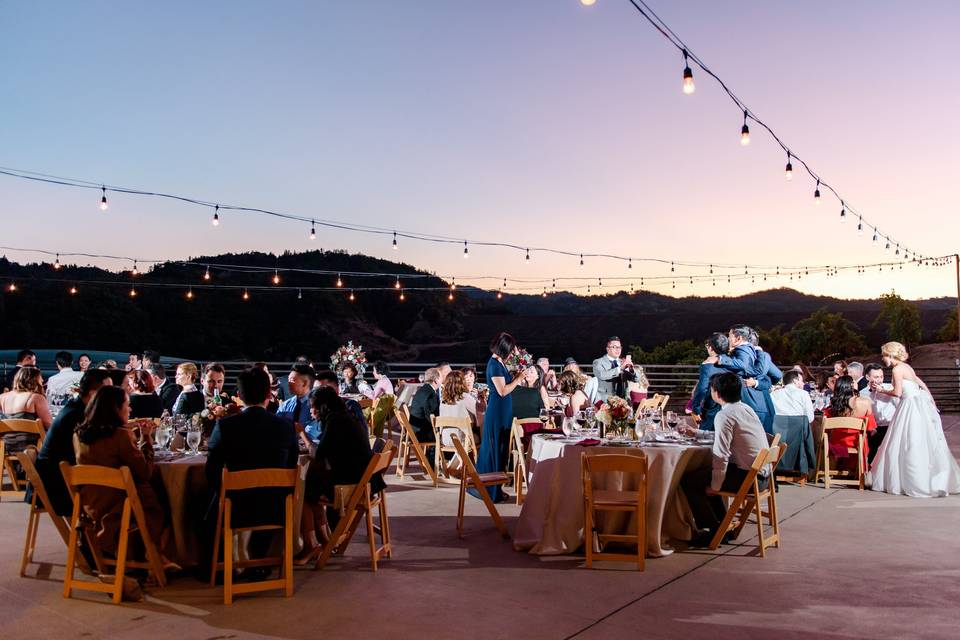 Dusk overlooking the vineyards